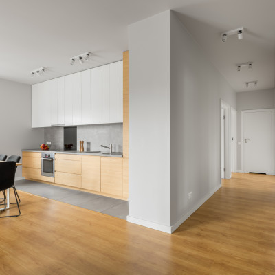 CAMBIOS DE USO DE LOCAL A VIVIENDA